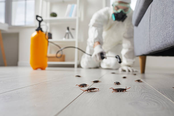 Trusted Emergency Pest Control service in Signal Hill, CA - Nex Pest Control