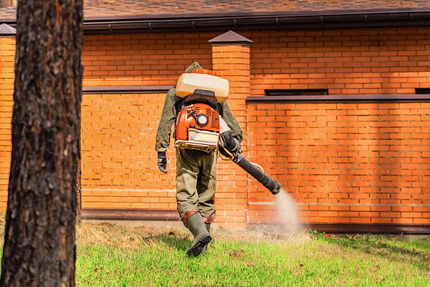 Trusted Ant Control service in Signal Hill, CA - Nex Pest Control